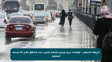 خريطة الأمطار.. توقعات برعد ورياح نشطة تضرب عدة مناطق خلال 48 ساعة المقبلة